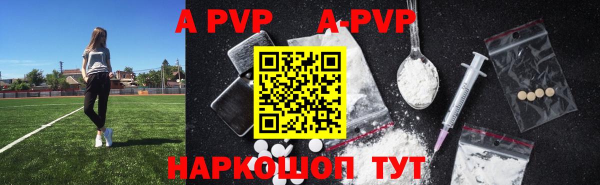 Alfa_PVP СК КРИС Черкесск