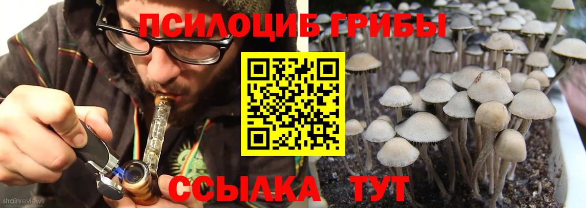 Галлюциногенные грибы Magic Shrooms Черкесск