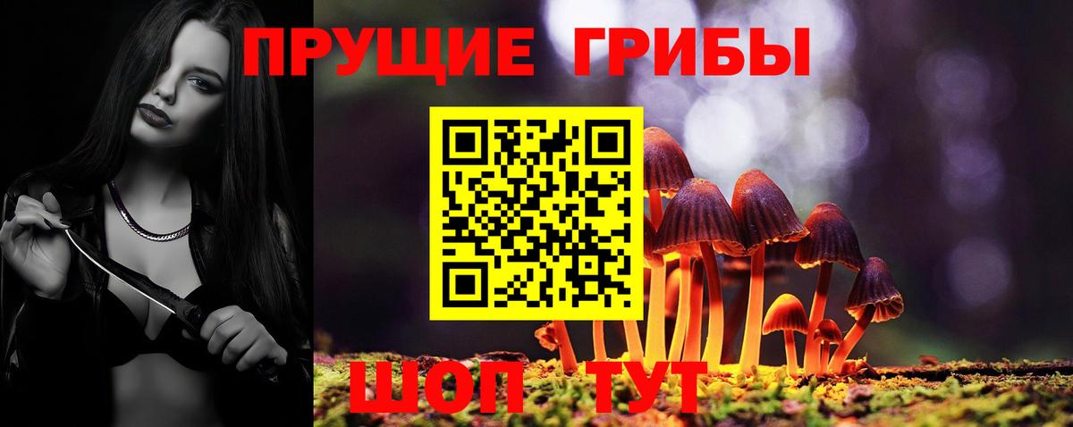 купить закладку  Галлюциногенные грибы MAGIC MUSHROOMS  Вход с VPN  Черкесск 